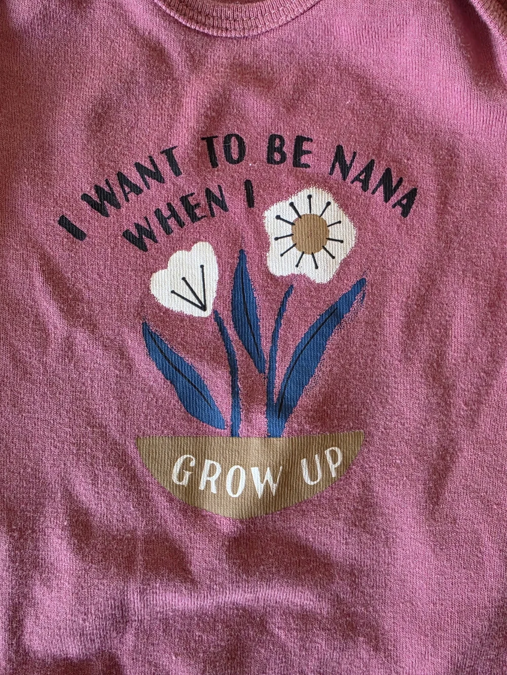 Carter's Dusty Rose Infant Bodysuit - Pink Graphic